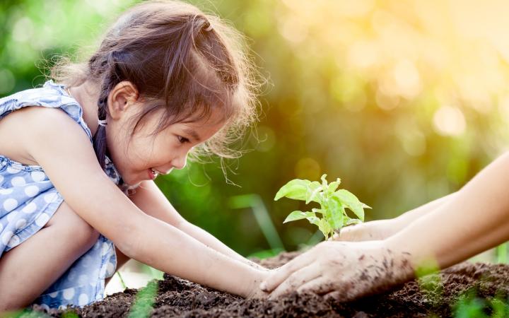 Une petite fille asiatique qui plante un arbre.