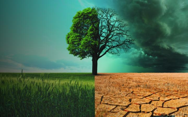 Les effets dévastateurs de la sécheresse sur l'environnement