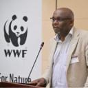 Daudi Sumba, Directeur de la conservation au WWF International