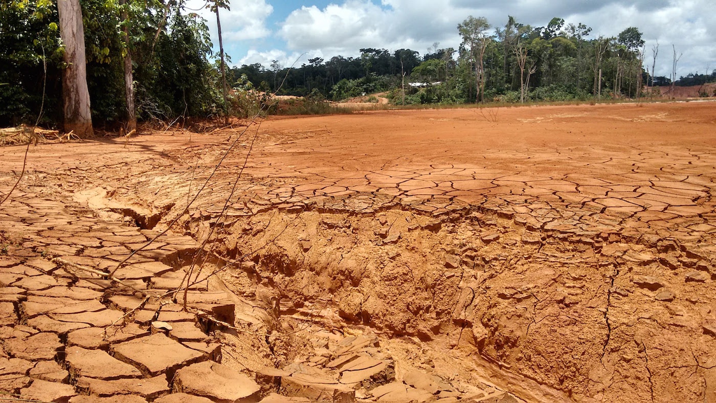 Montagne Dor Un Projet à Lagonie Wwf France