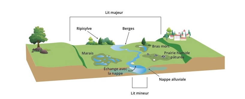 La structure des rivières