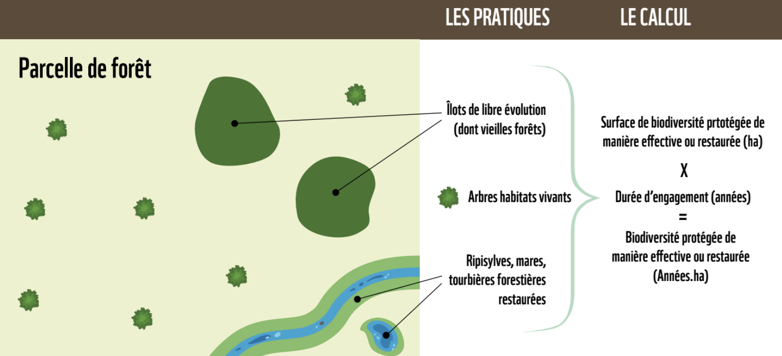 schéma des pratiques forestières