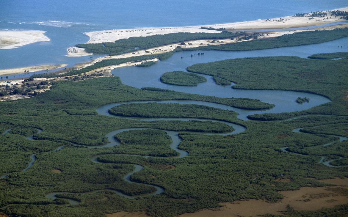 Vue aérienne de la mangrove sur la façade Ouest de Madagascar