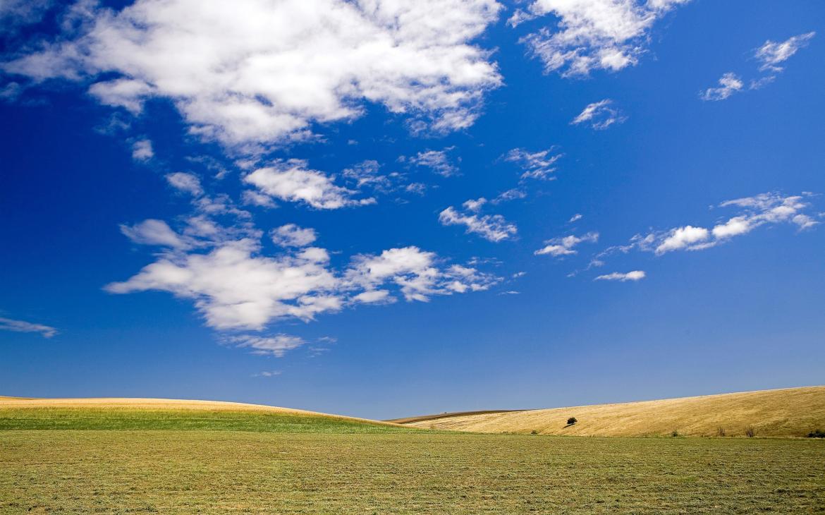 Paysage de champs agricoles en Bulgarie