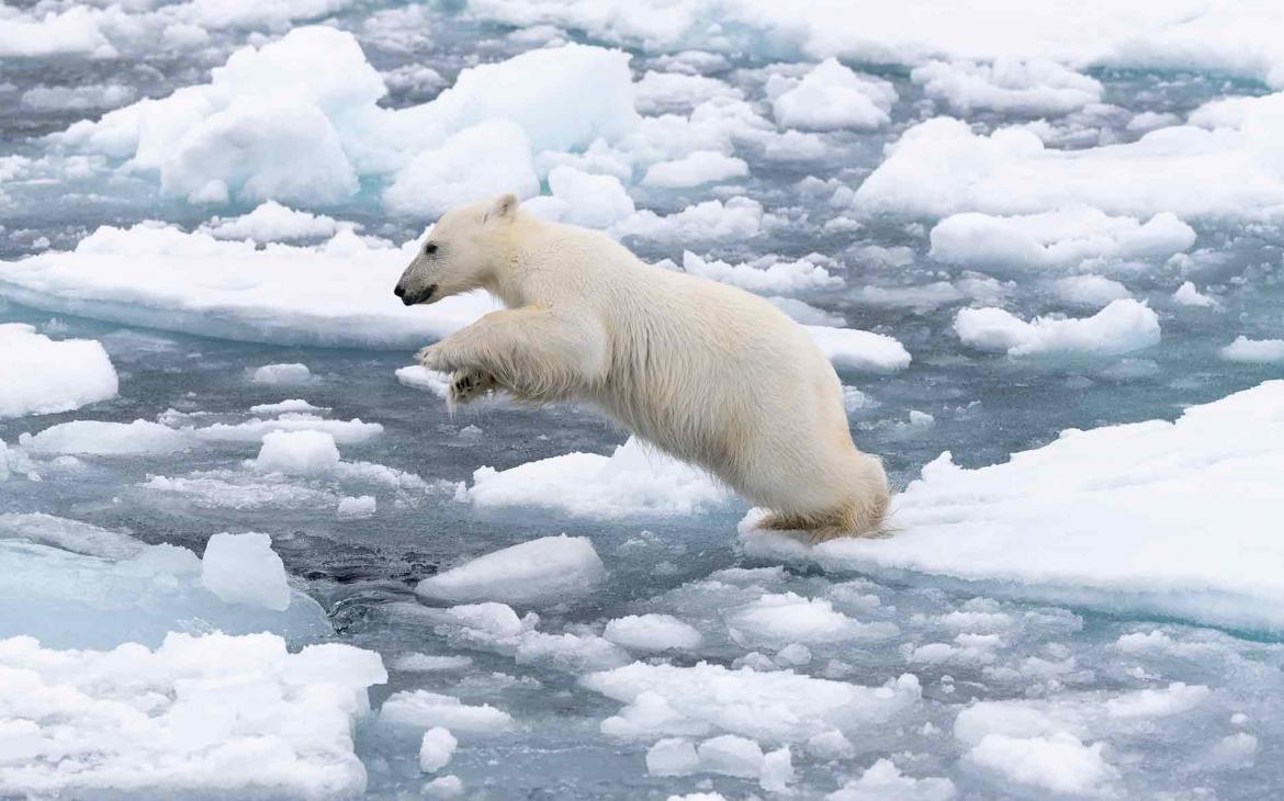 Comprendre les causes et conséquences de la fonte des glaces