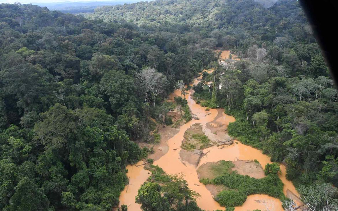 Orpaillage illégal en Amazonie