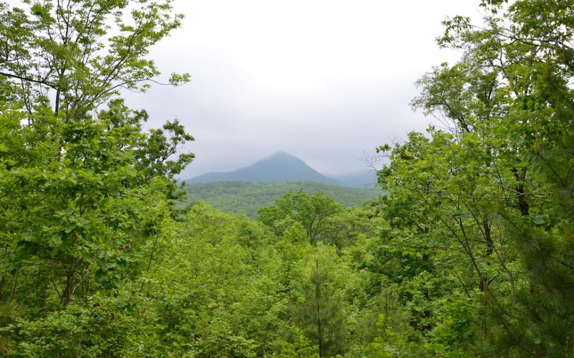 Terre du léopard, Parc national russe