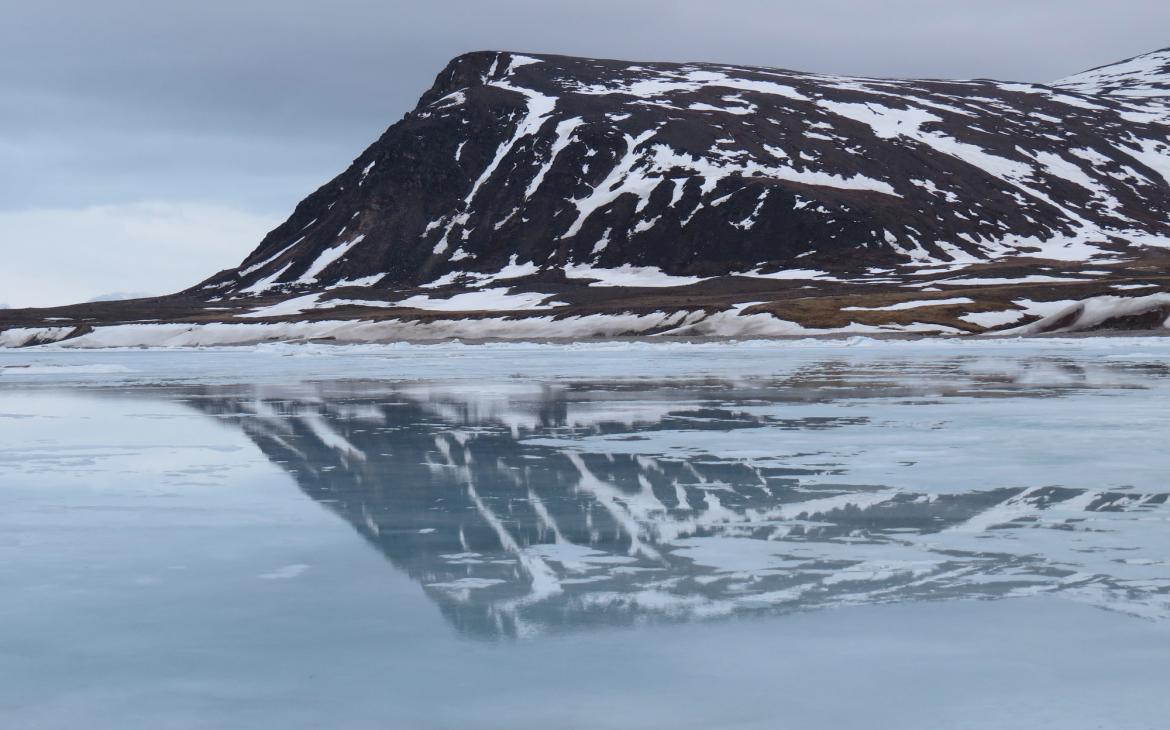 réflexion Bylot Island, Nunavut, Canada.