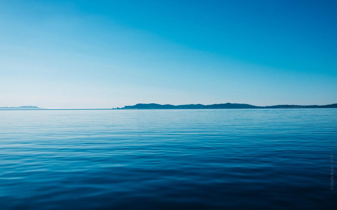 Mer Méditerranée - horizon bleue - cap cétacés 2019