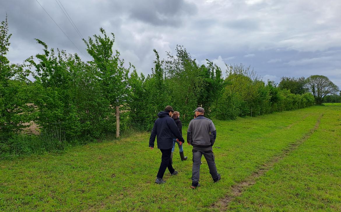 Avec des terres protégées et mieux irriguées grâce aux haies, les agriculteurs peuvent augmenter leur productivité.