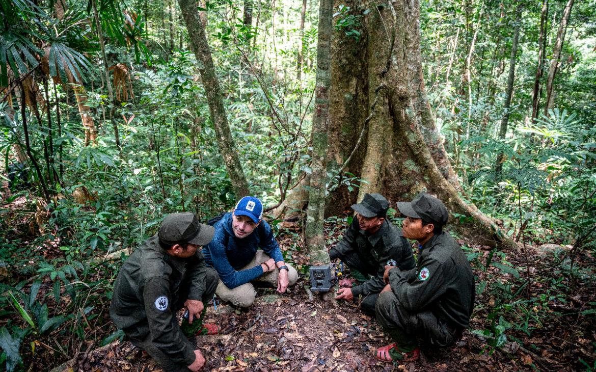 Gardes-Vietnam-saola