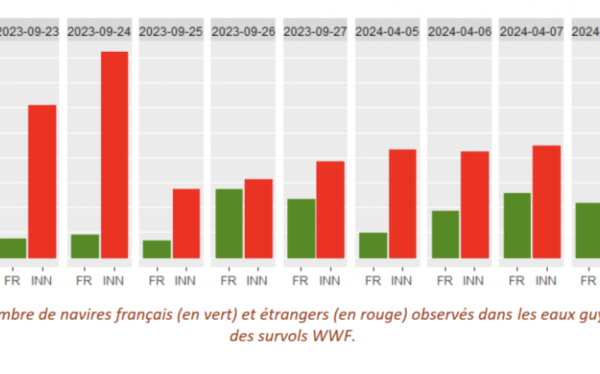 graphique pêche illégale