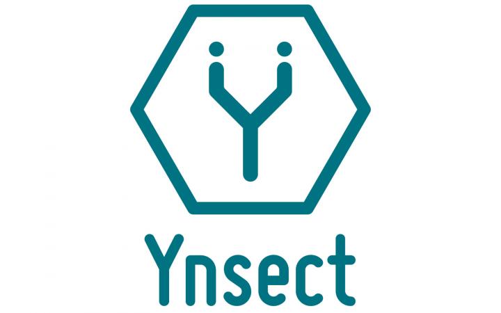 Logo Club PME - Ynsect