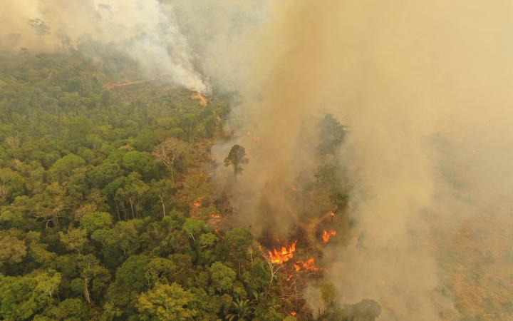 Août 2019, les feux à Porto Velho, Brésil, ravagent la forêt amazonienne.