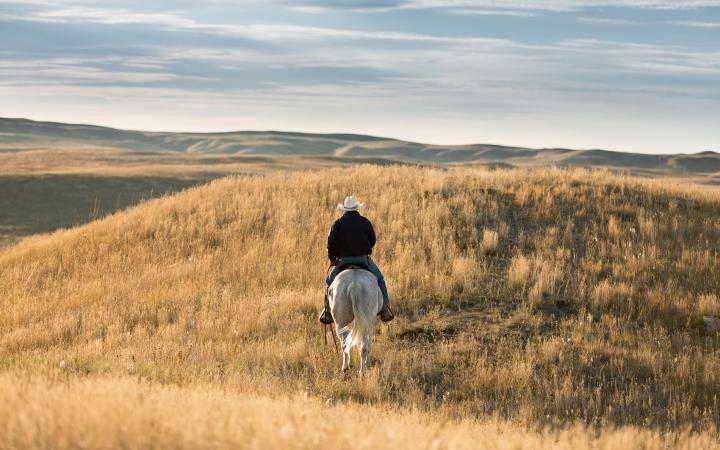 Cow-boy à cheval dans les Grandes Plaines du Nord près Lowry, Dakota du Sud