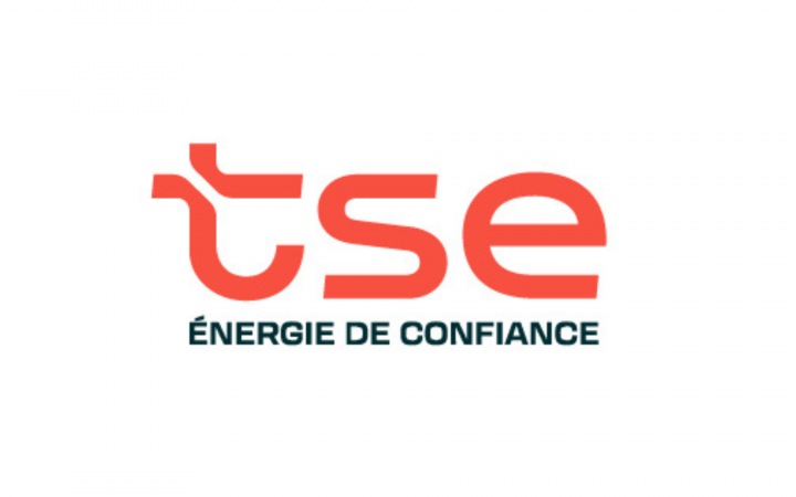 Logo TSE