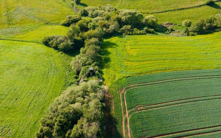 Campagne agroforesterie - Plantons des haies dans les champs