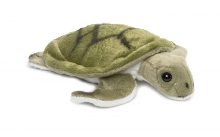 Peluche tortue