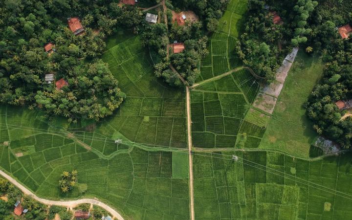 Vue du ciel - champ forêt maison chemin