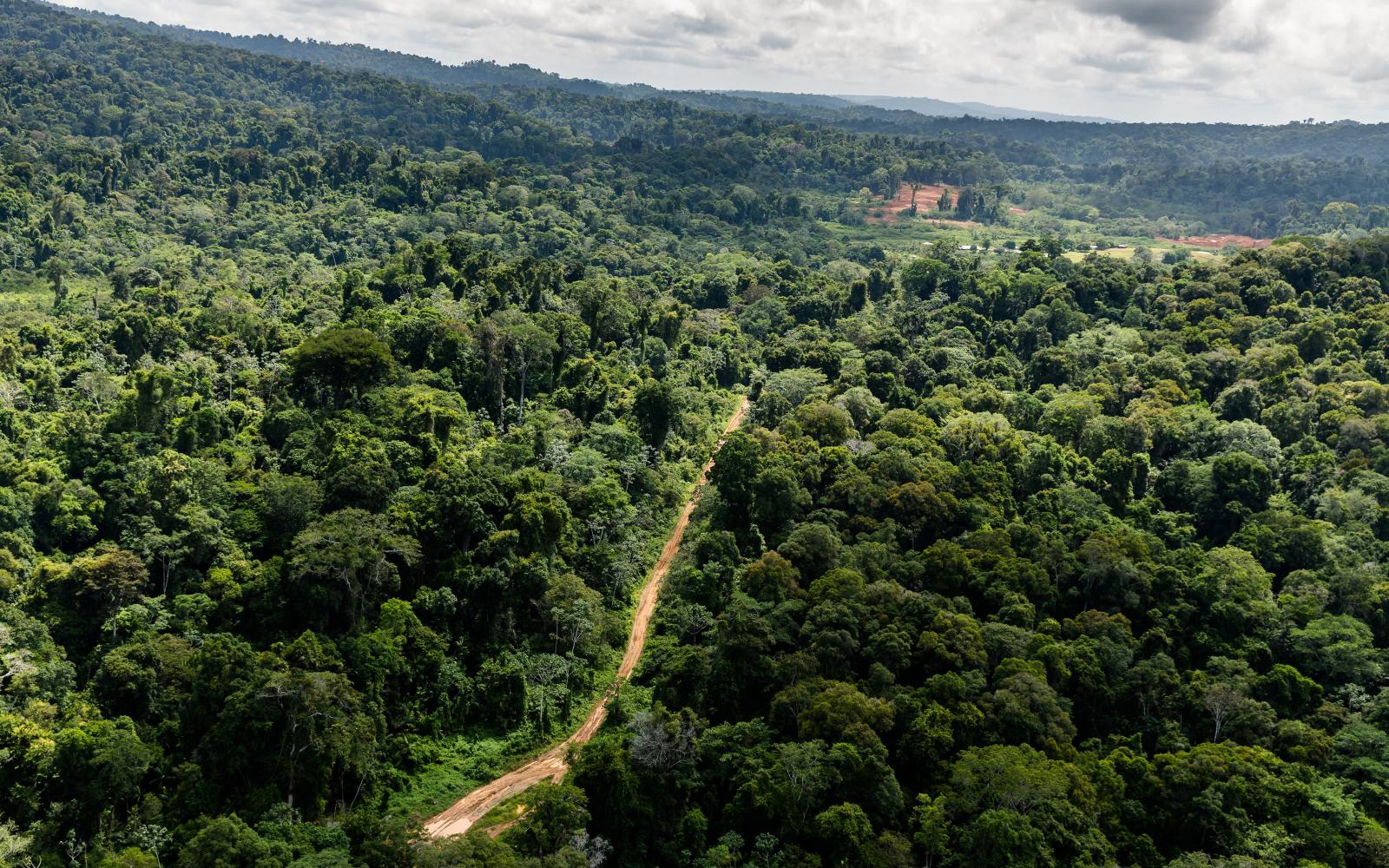 Protéger La Guyane Dun Projet De Mine Dor Industrielle