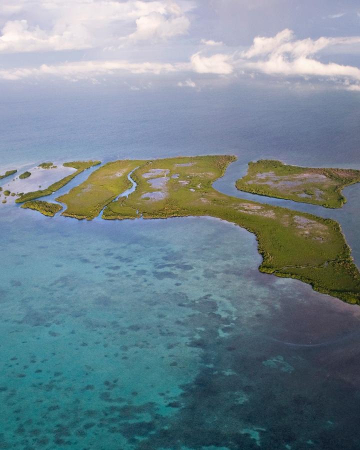 Vue aérienne des mangroves au Belize