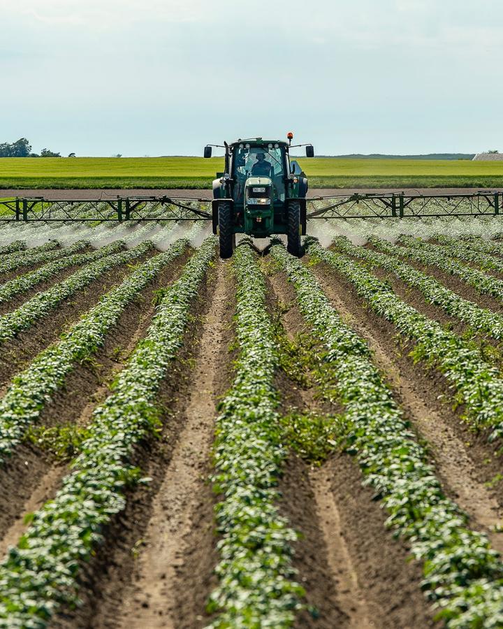 Un fermier épand des pesticides dans un champ de patates, Suède.