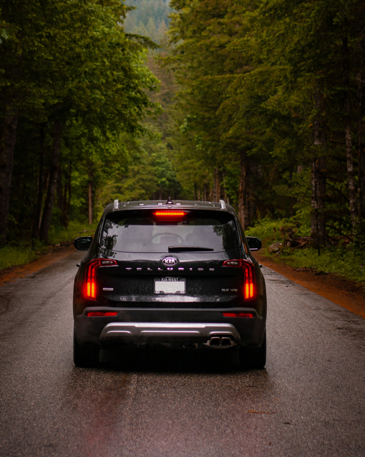 SUV sur la route en forêt 